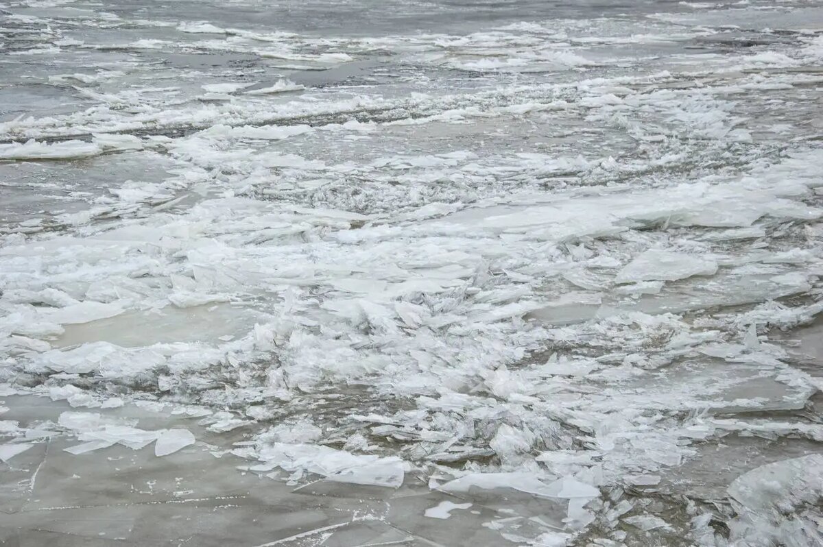     © "Интерфакс". Инна Басова