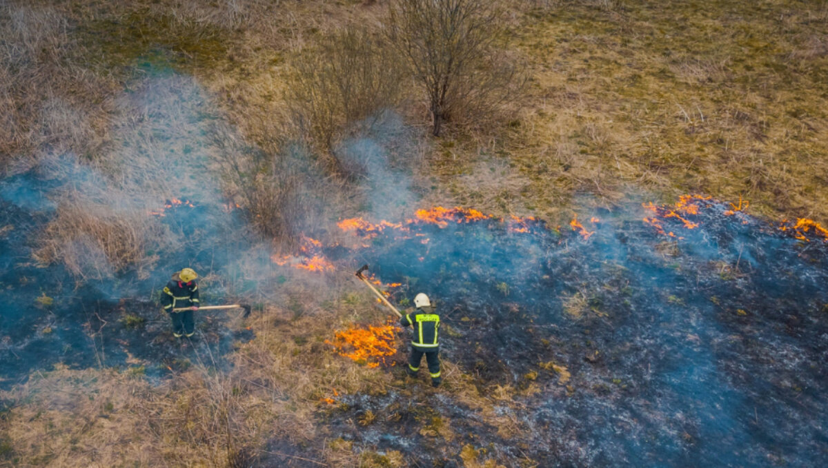 © ГУ МЧС России по Смоленской области
