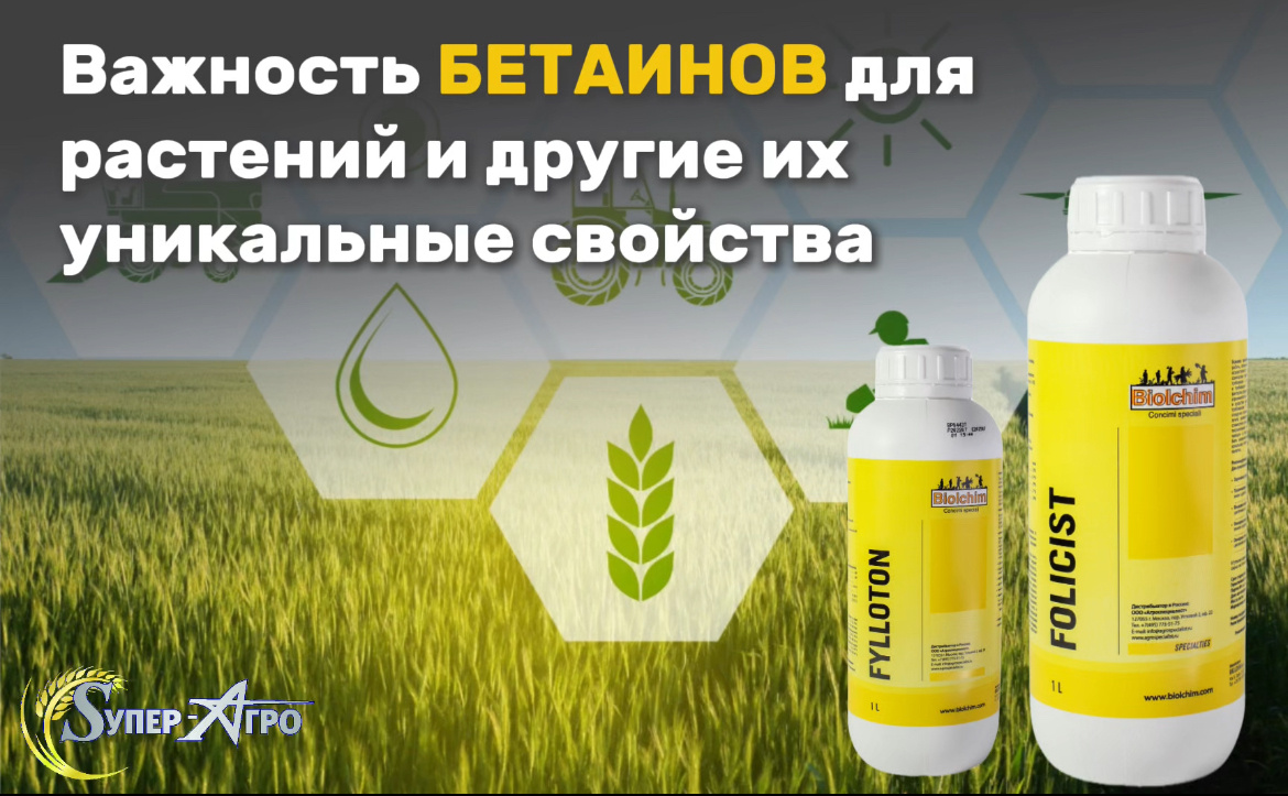 Супер-Агро, Фолицист, Филлотон