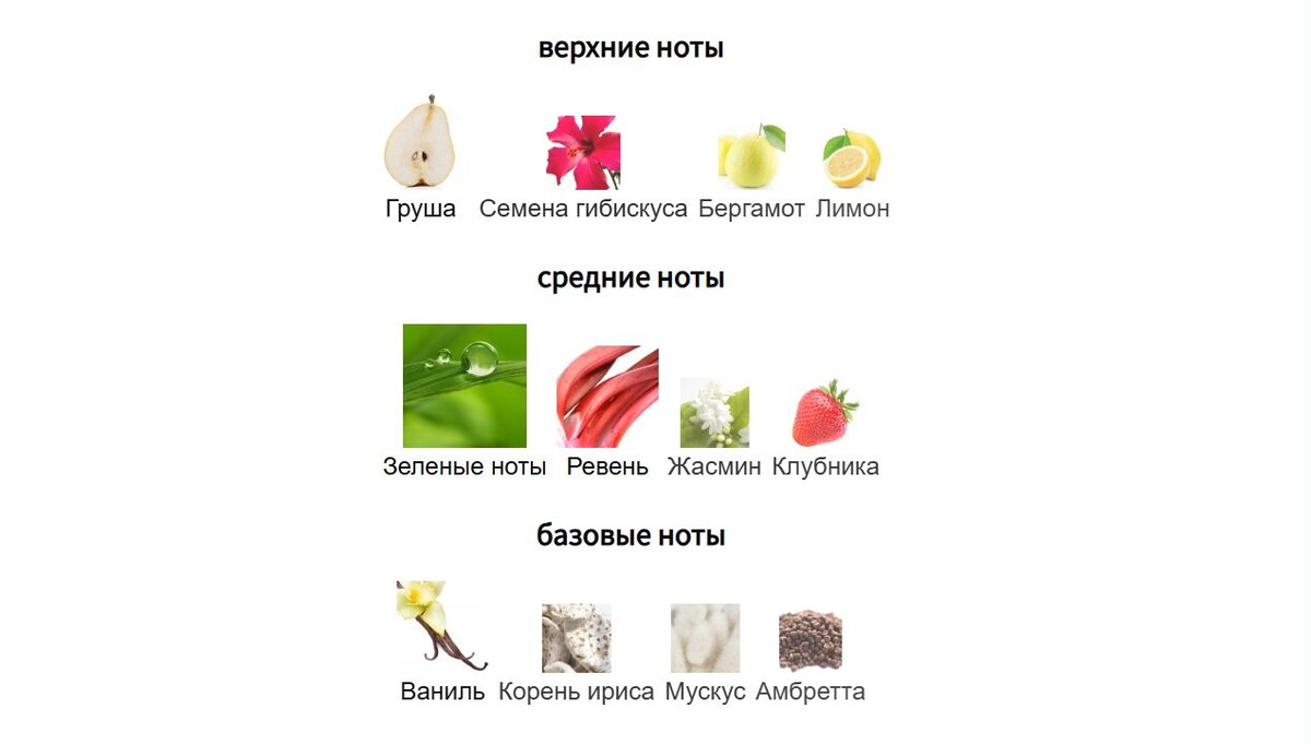 fragrantica.ru
