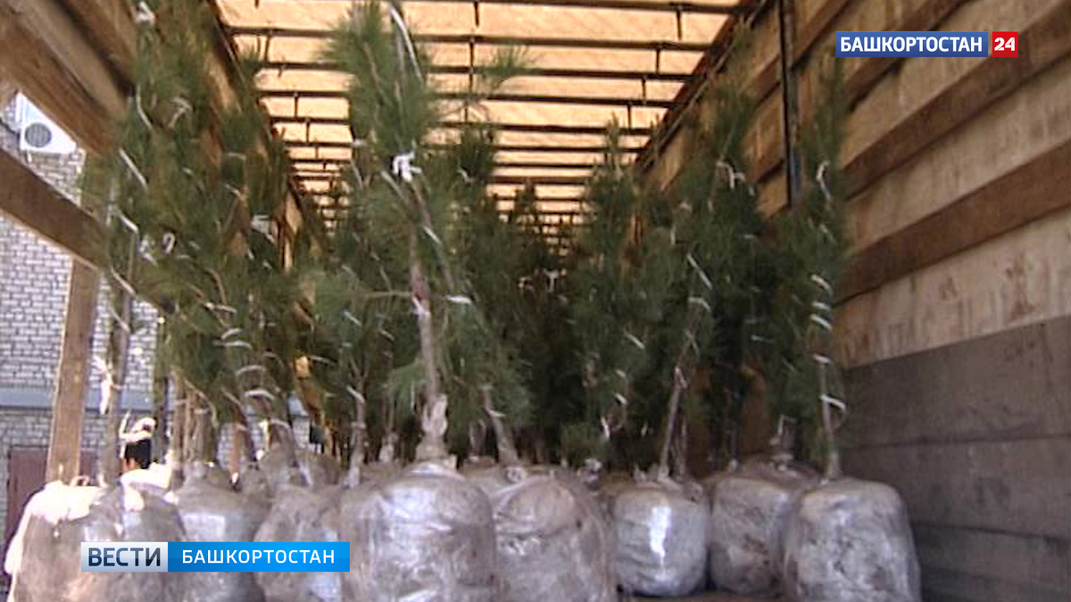    Жителей Башкортостана приглашают принять участие в экологических конкурсах