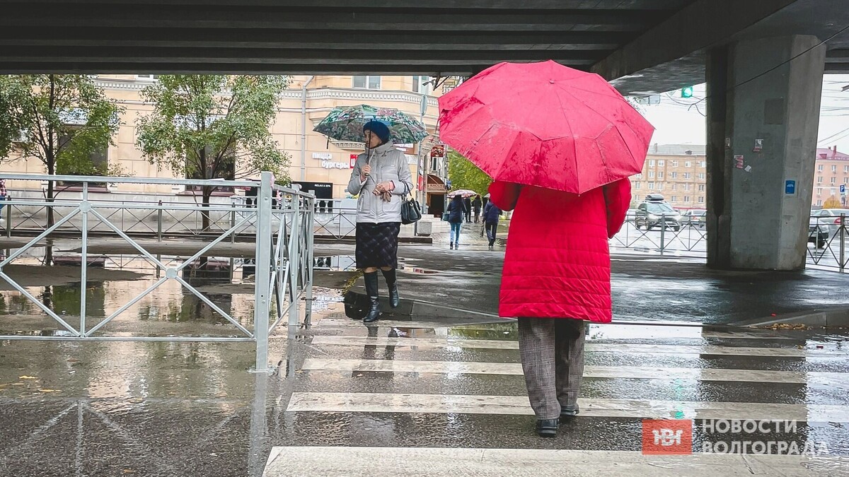     Источник: novostivolgograda.ru