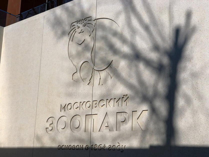 Фото: Мобильный репортер / Агентство «Москва»