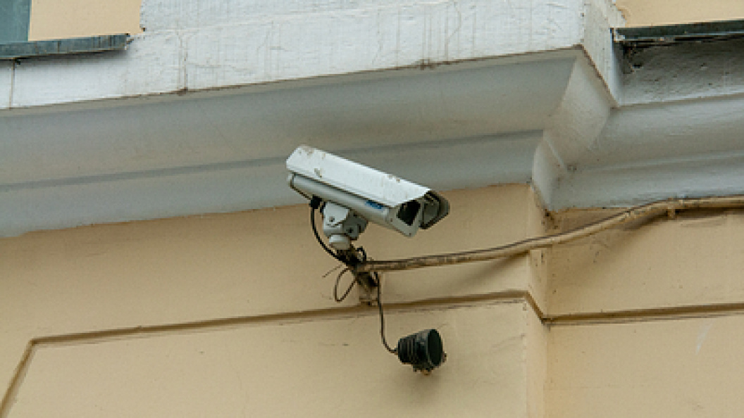    Фото: Svetlana Vozmilova/Globallookpress