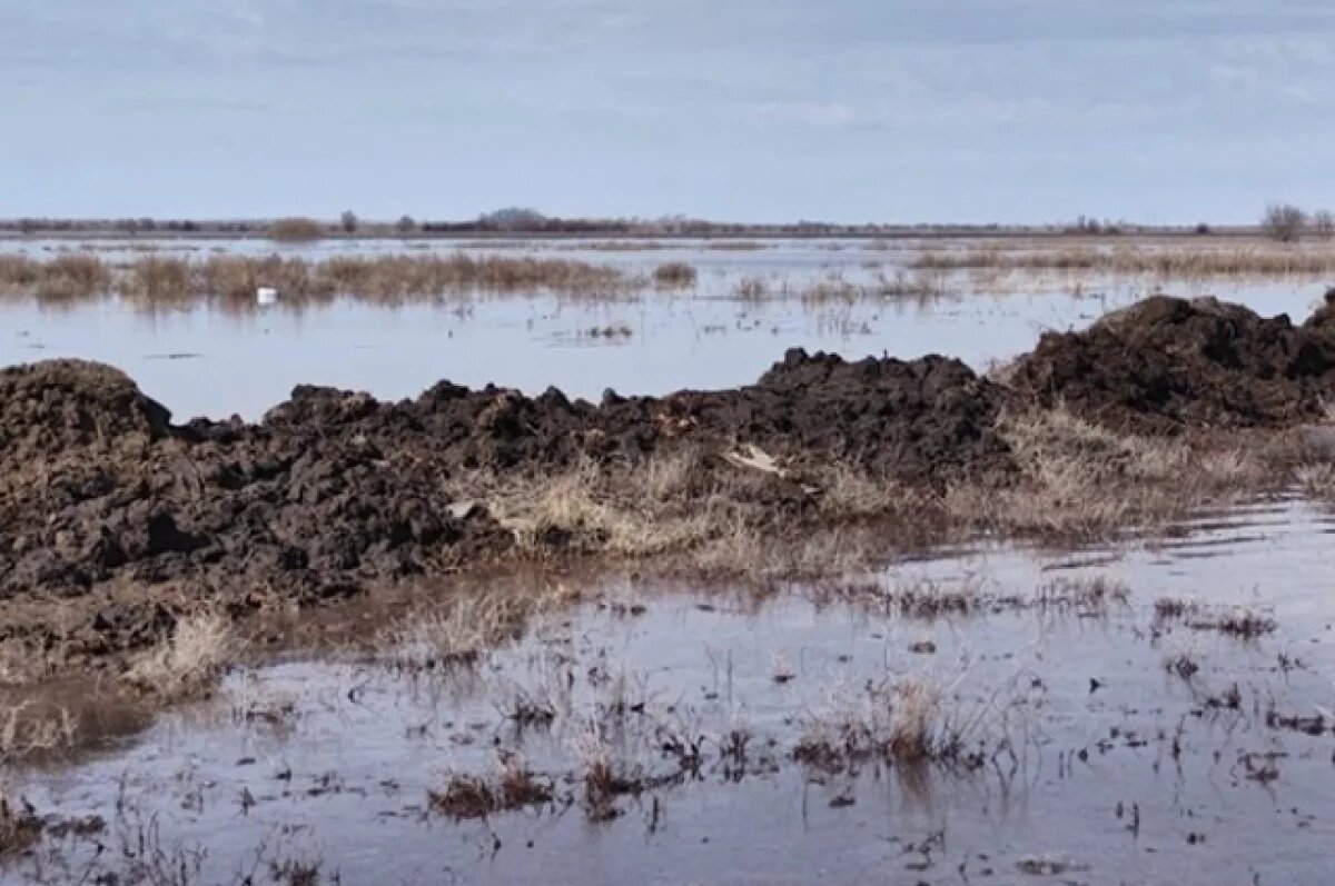    В Оренбуржье во время паводка может затопить четыре села Грачёвского района