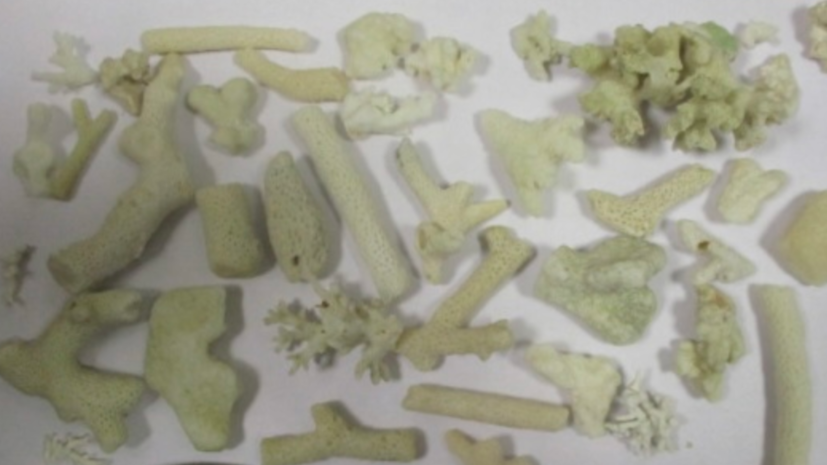    Федеральная таможенная служба