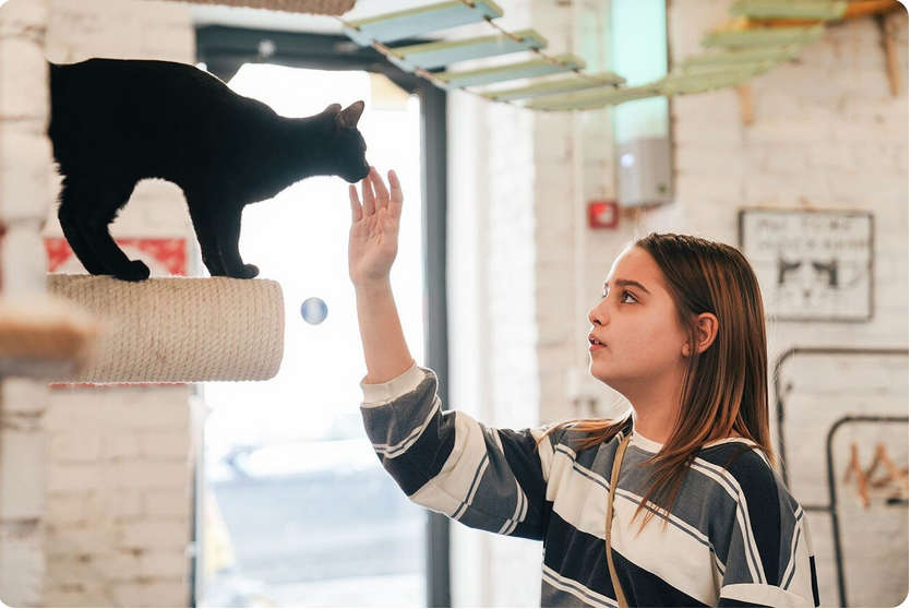 фото с сайта https://deti.ag.mos.ru 