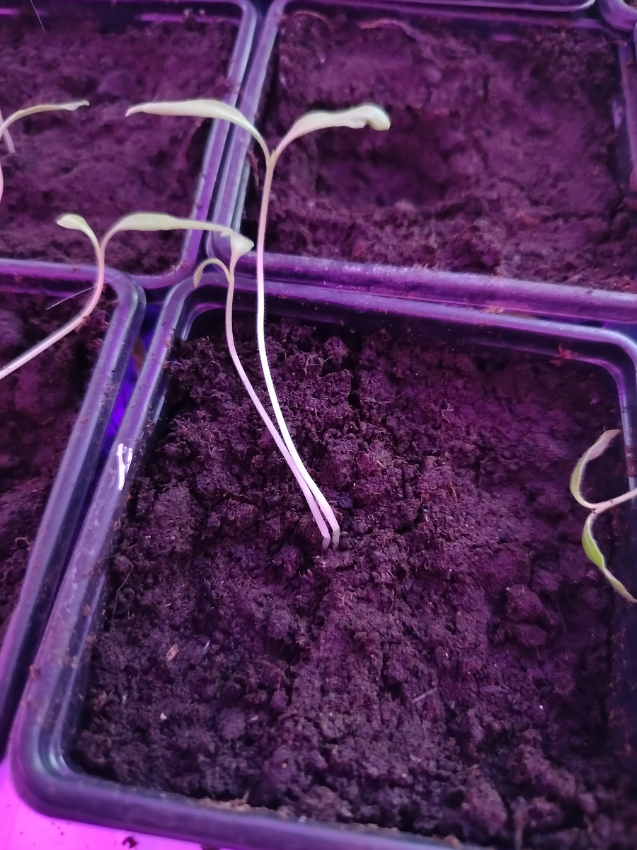 Тут уже ничем не поможешь.