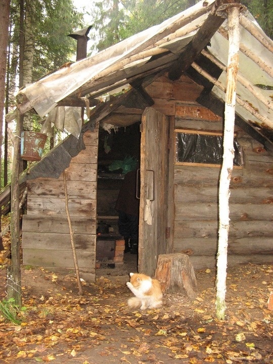 Изба на Адуе