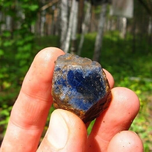 ЛИЗКИНО УЧЕНЬЕ (байки от Александра [Gem] Маковецкого)