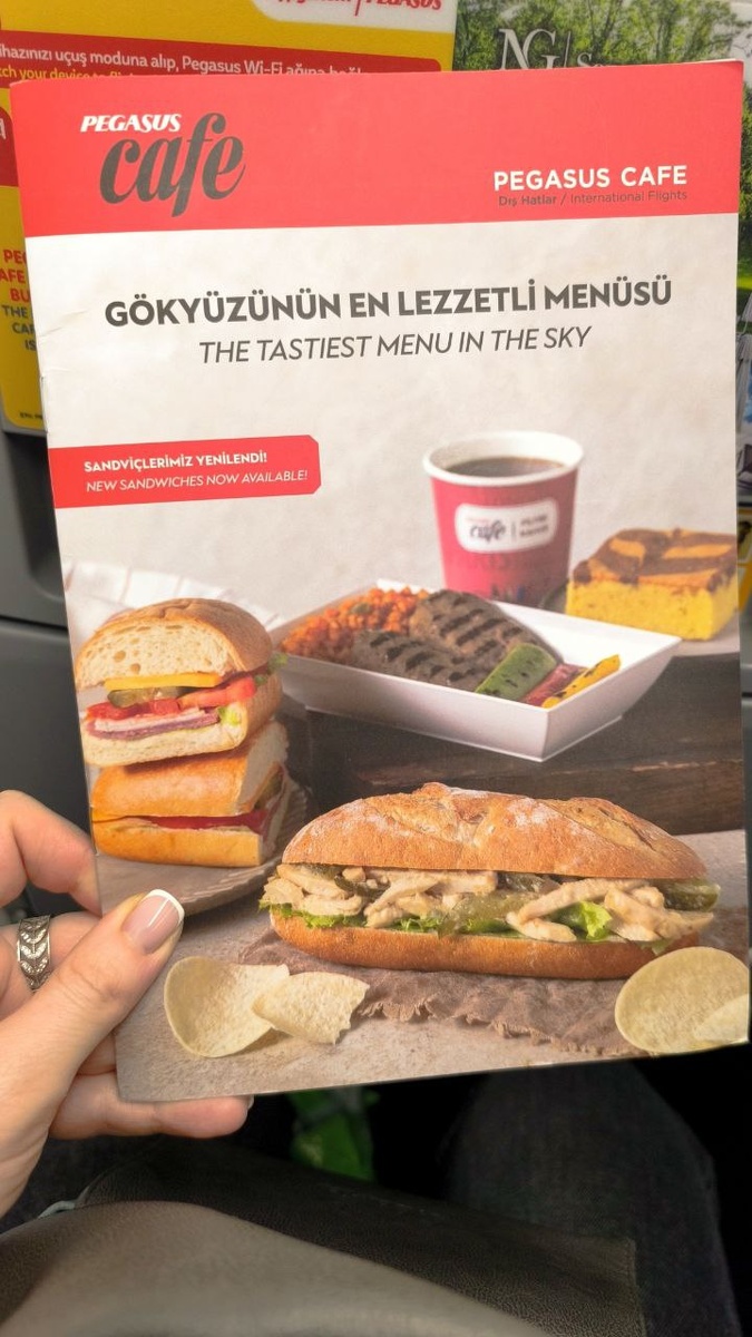 Платное меню на борту самолёта. При желании можно было заказать