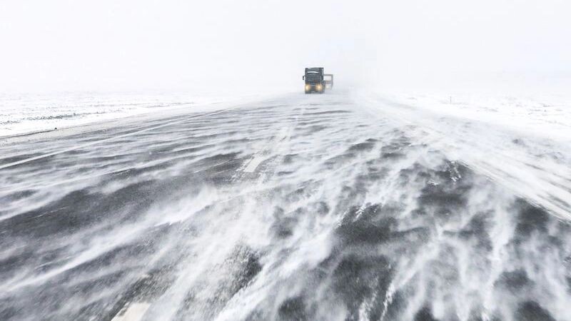    Фото: Vitaliy Kaplin/Shutterstock/Fotodom