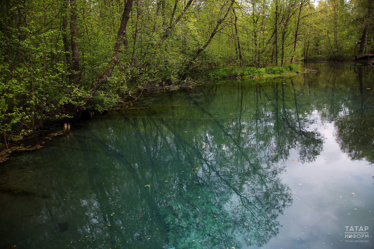 Фото: © Султан Исхаков / «Татар-информ»