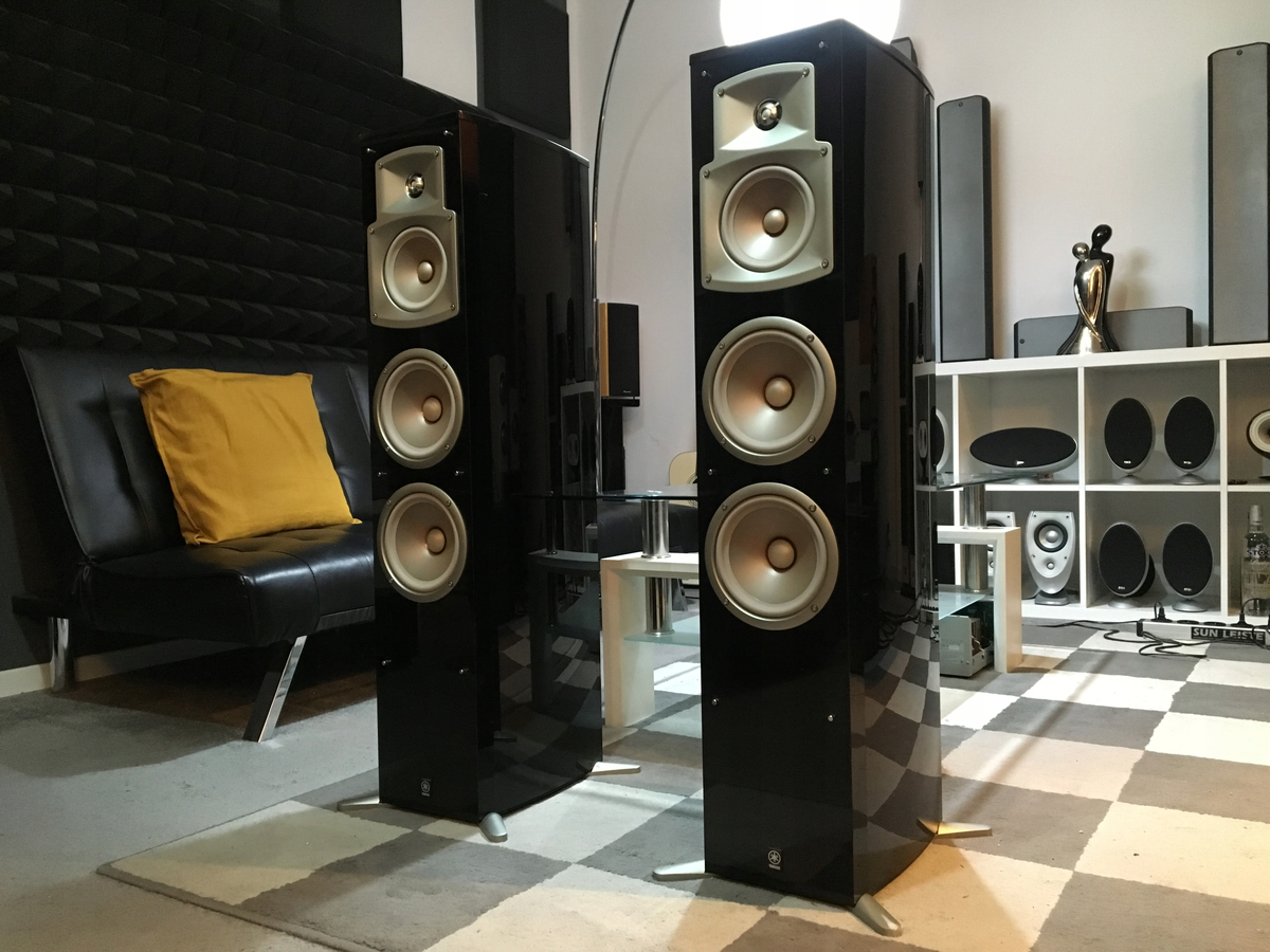 Фото не моё, эти колонки давно продал в испорченном виде из-за кошачьих когтей, но прослужили очень долго даже так!