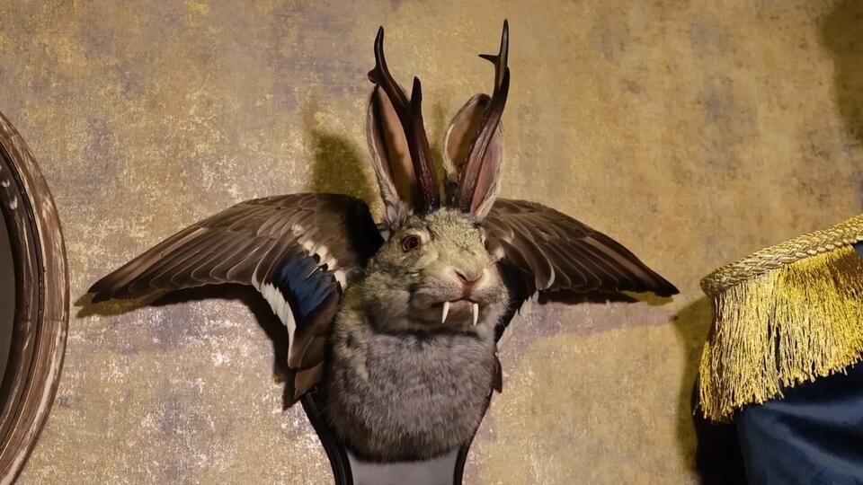 Фото: © Кадр из программы "Невероятно интересные истории", РЕН ТВ