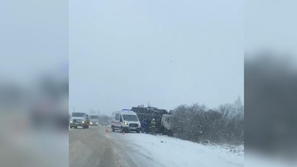    Фото: t.me/Megapolisonline