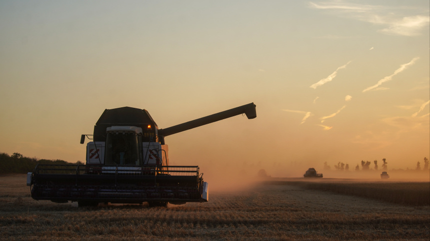    Фото: ИЗВЕСТИЯ/Эдуард Корниенко; 5-tv.ru