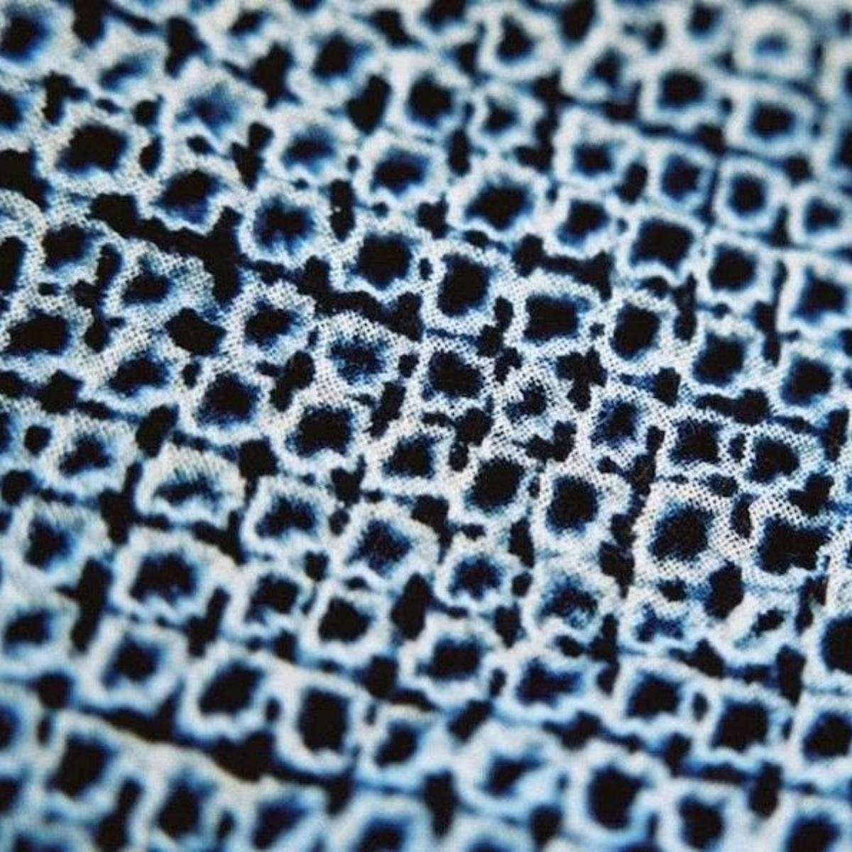 Миура сибори