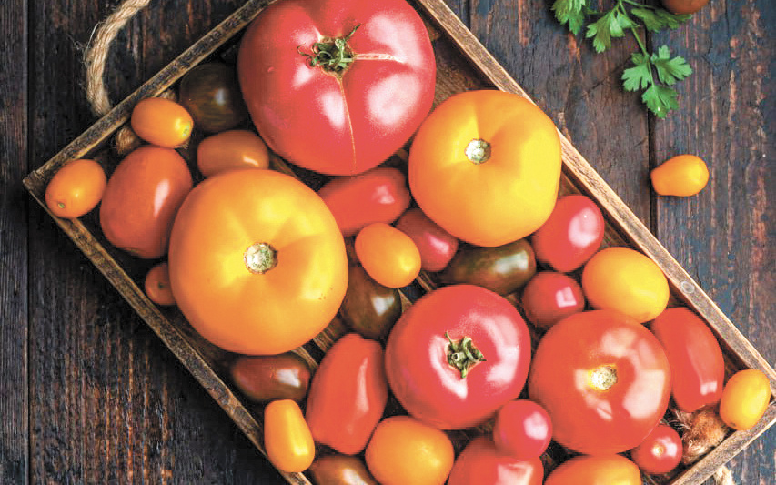    Фото предоставил Александр Ерохин.