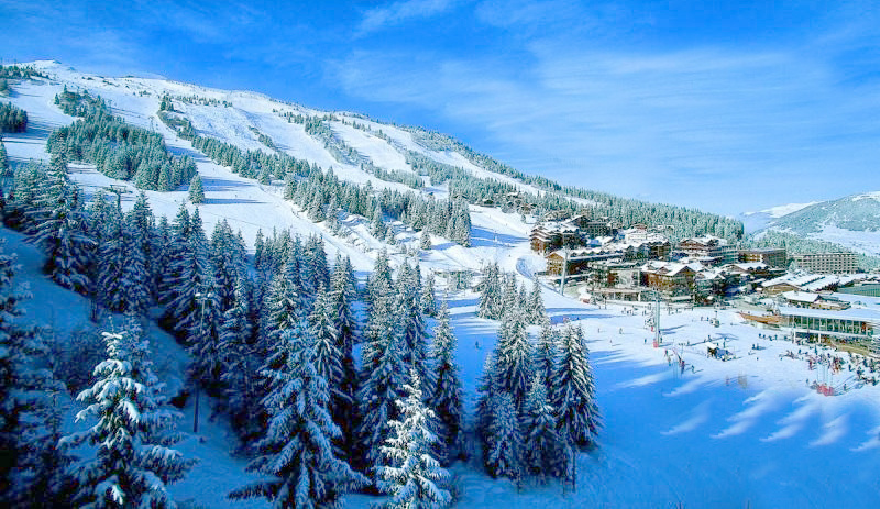 Из свободных источников Яндекса