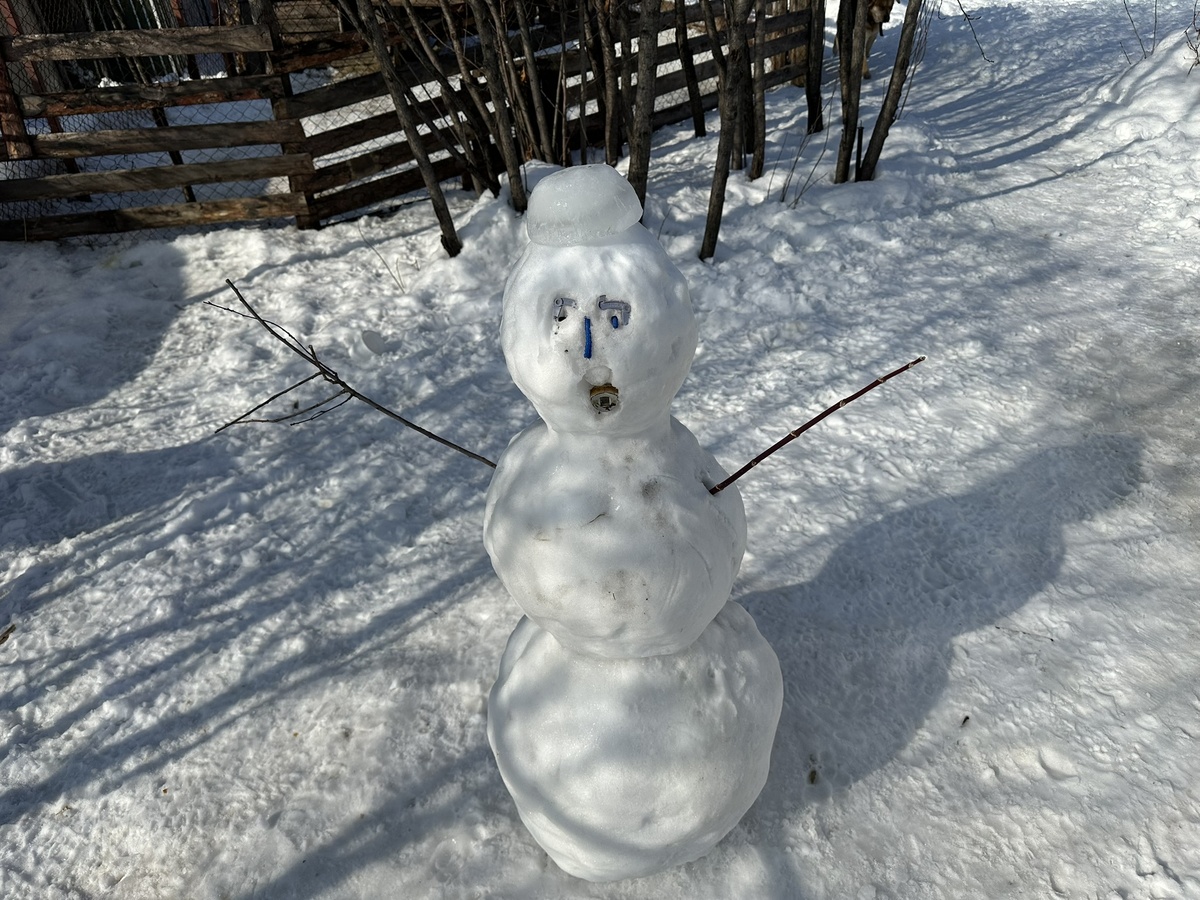 Снеговик. Я скоро растаю?