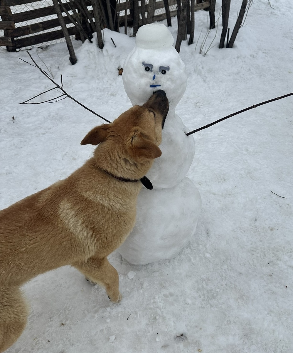 Поцелуй дементора.