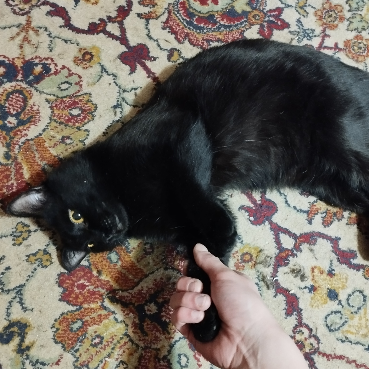 Пациент готов)