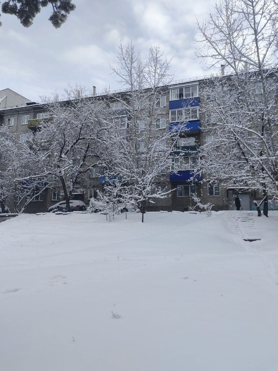    Фото: Lenta75.ru