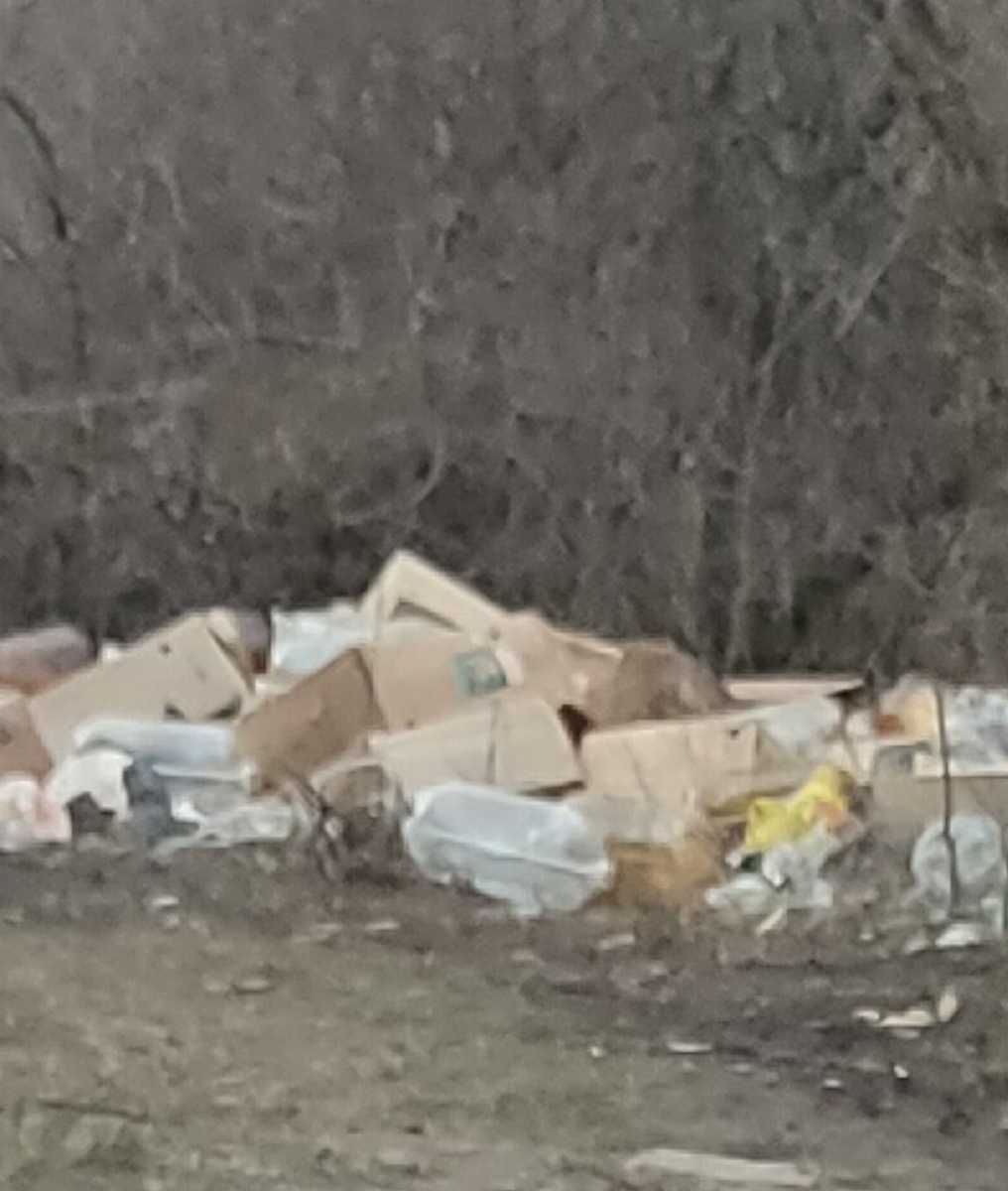 Куча мусора