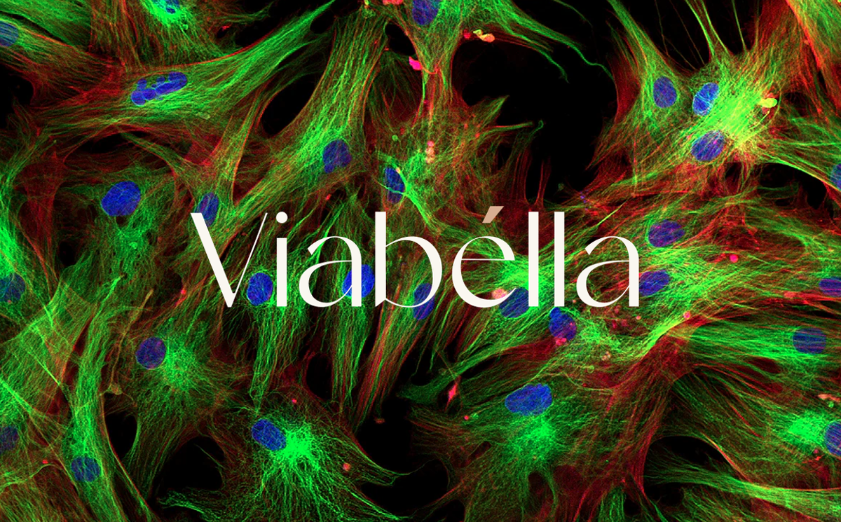 фибробласты