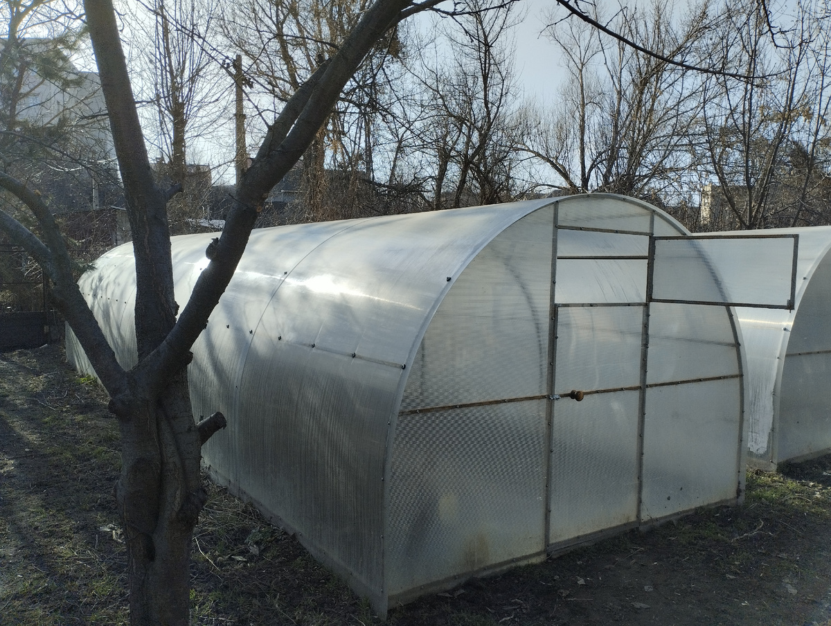 Теплица из поликарбоната ранней весной