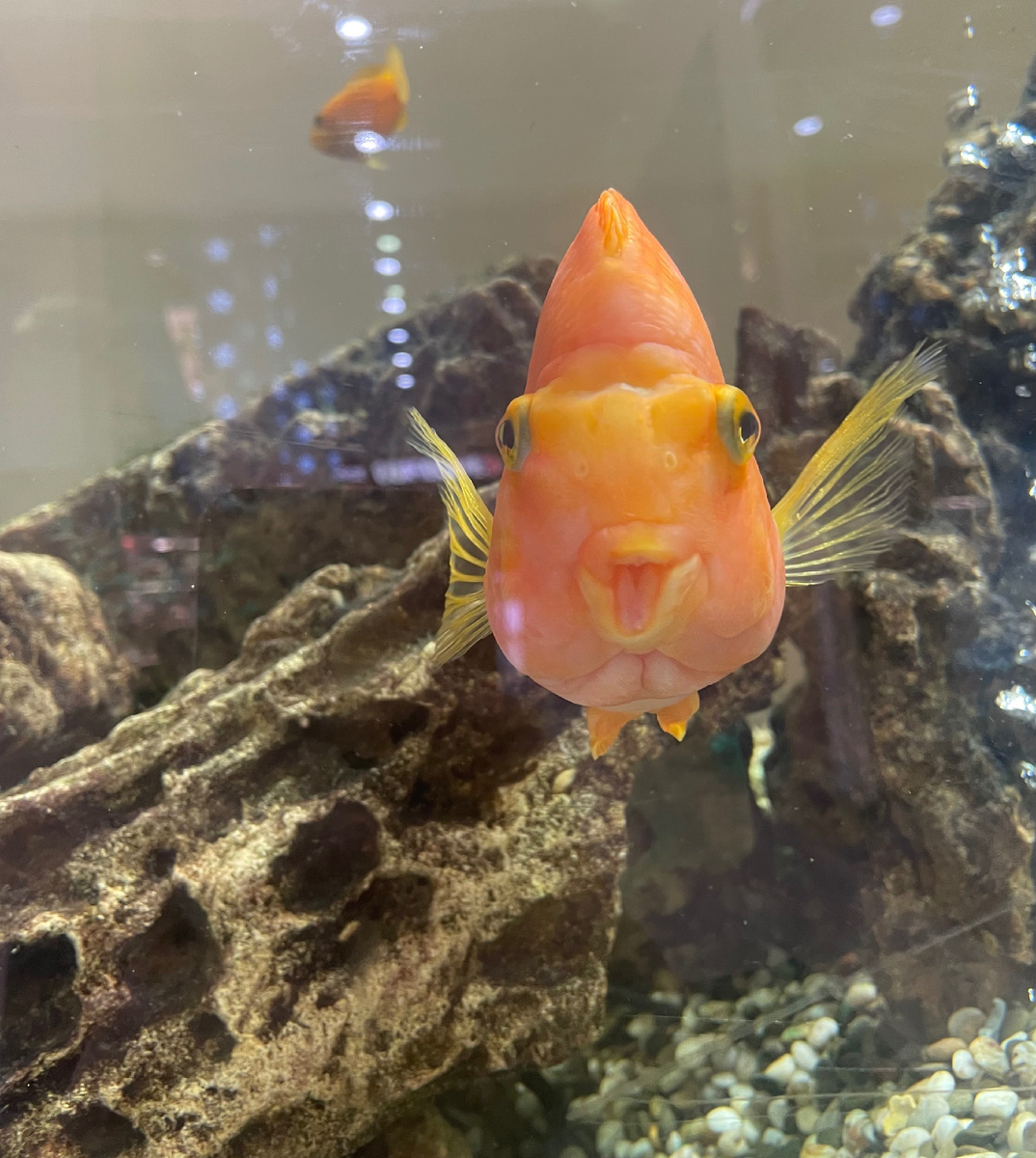 Чисто я и мое отношение к проблемам