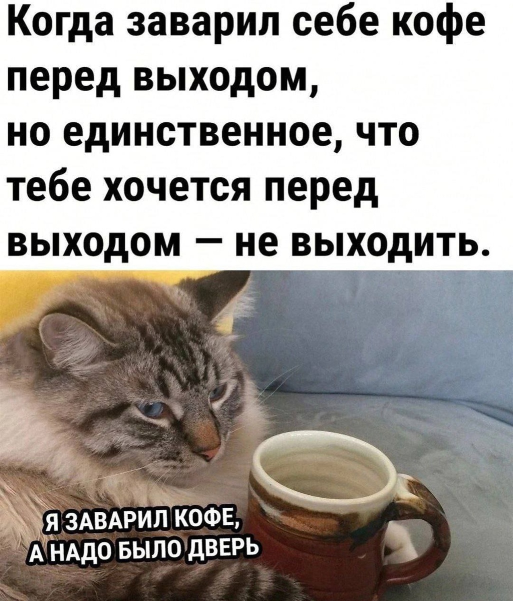 https://avatars.dzeninfra.ru/get-zen_doc/271828/pub_67d42ae6795bde0c1a66af4e_67d42b256e0044772fa4ae48/scale_1200
