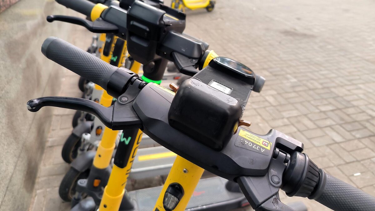    Фото: Maksim Konstantinov/globallookpress.com