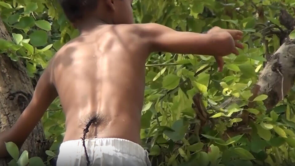 Фото: © Кадр из программы "Как устроен мир", РЕН ТВ