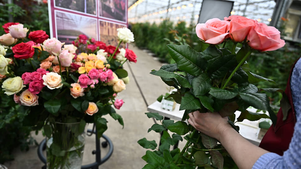 Фото: Александр Миридонов / Коммерсантъ