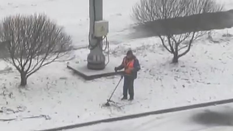    Фото: соцсети