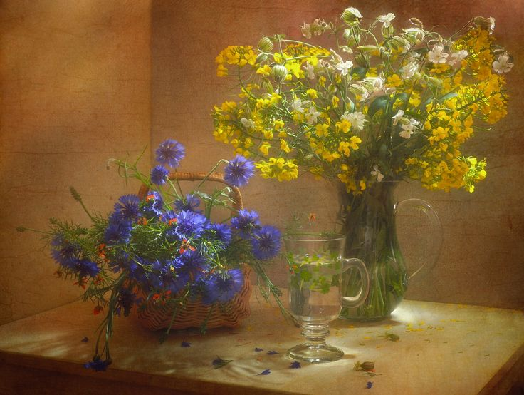 Картинка найдена на просторах интернета, ссылка: https://yandex.ru/images/search?from=tabbar&img_url=https%3A%2F%2Fi.pinimg.com%2Foriginals%2Fc9%2F45%2F85%2Fc94585a7378e46f1dd4bc312c11379b2.jpg&lr=103814&pos=7&rpt=simage&text=%D0%BF%D0%BE%D0%BB%D0%B5%D0%B2%D1%8B%D0%B5%20%D1%86%D0%B2%D0%B5%D1%82%D1%8B%20%D0%BD%D0%B0%D1%82%D1%8E%D1%80%D0%BC%D0%BE%D1%80%D1%82%20%D1%84%D0%BE%D1%82%D0%BE%20%D0%BA%D1%80%D0%B0%D1%81%D0%B8%D0%B2%D1%8B%D0%B5%20%D0%BA%D1%80%D1%83%D0%BF%D0%BD%D1%8B%D0%BC%20%D0%BF%D0%BB%D0%B0%D0%BD%D0%BE%D0%BC