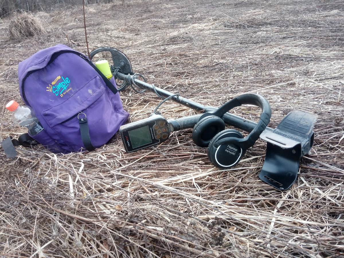 Клещей так и не наблюдается, весьма странно.