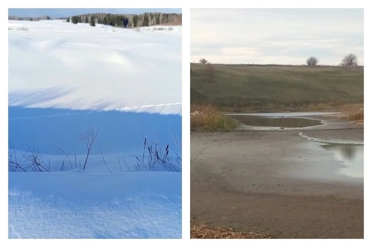    Обмелевшее озеро Любимово в Осташатах