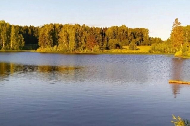    Озеро Любимово летом 2021 года. Фото: Из личного архива/ Алёна Колыванова