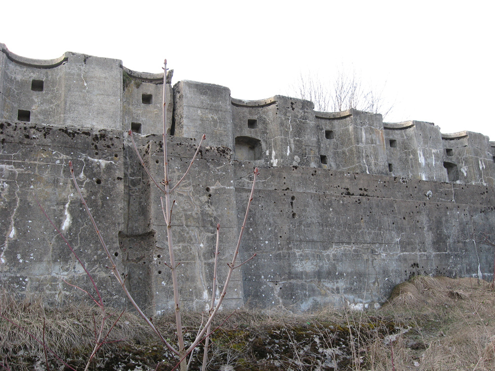    Фото: Фото автора