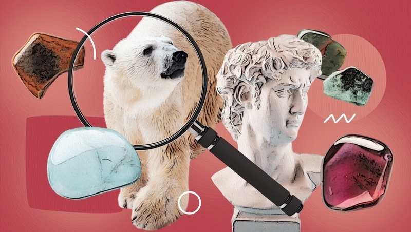      Фото: ИА «Победа26»