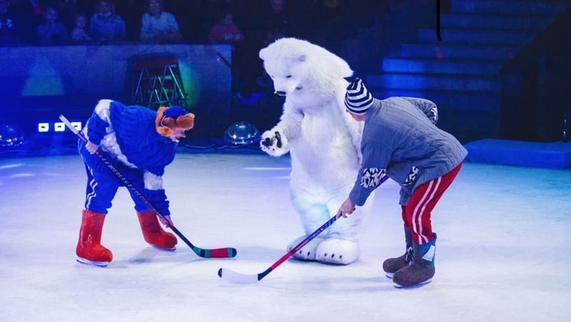    Белых медведей на льду можно увидеть в Ставрополе Фото: Ставропольский цирк