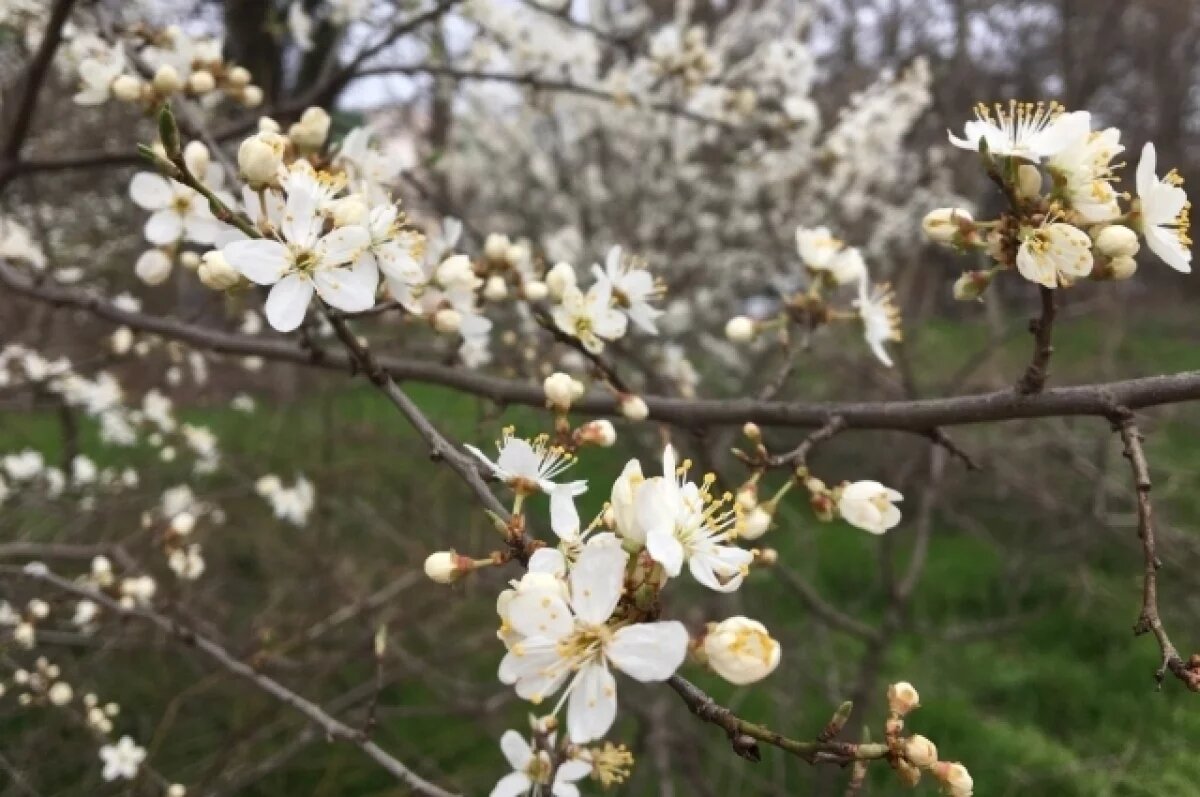    В Крыму в выходные ожидается по-летнему теплая погода