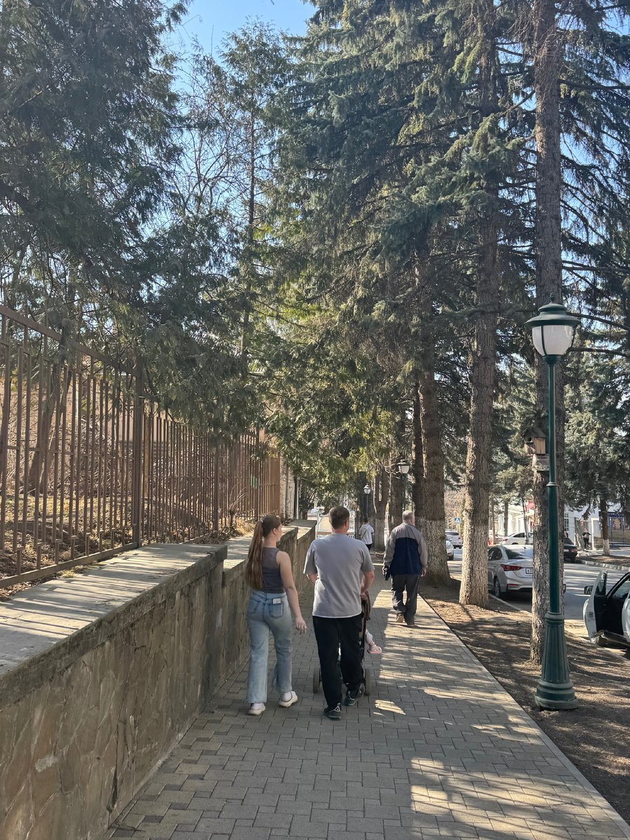 фото Сад в стиле Paradise @