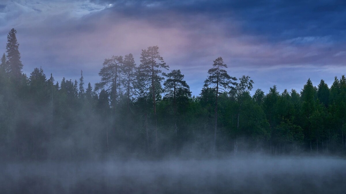    Фото: Ondrej Prosicky/Shutterstock/Fotodom