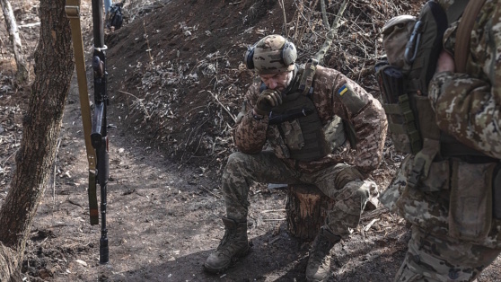    Трамп попросил Путина пощадить силы ВСУ в Курской области ©Diego Herrera Carcedo / ANADOLU / Anadolu via AFP / EastNews