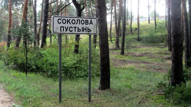 Фотографии: Антон Саков