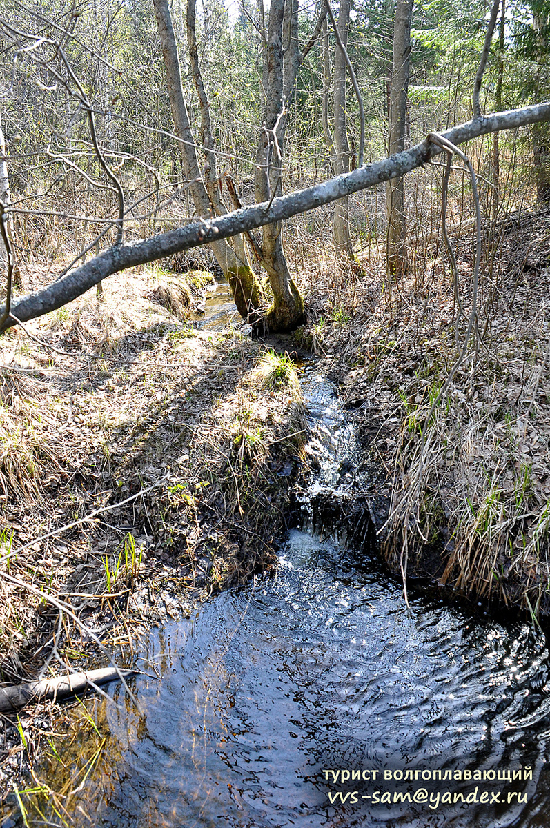 Фото 19.05.2014.